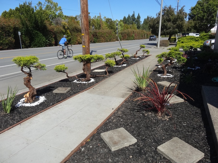 Landscaped front sidewalk